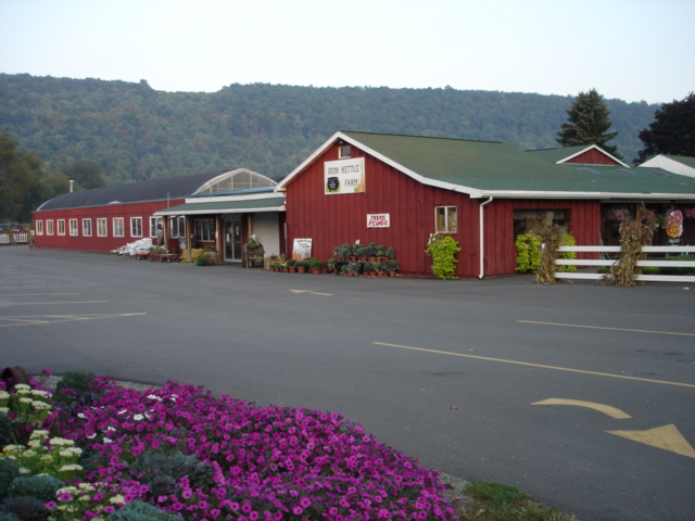 pumpkin patch candor ny